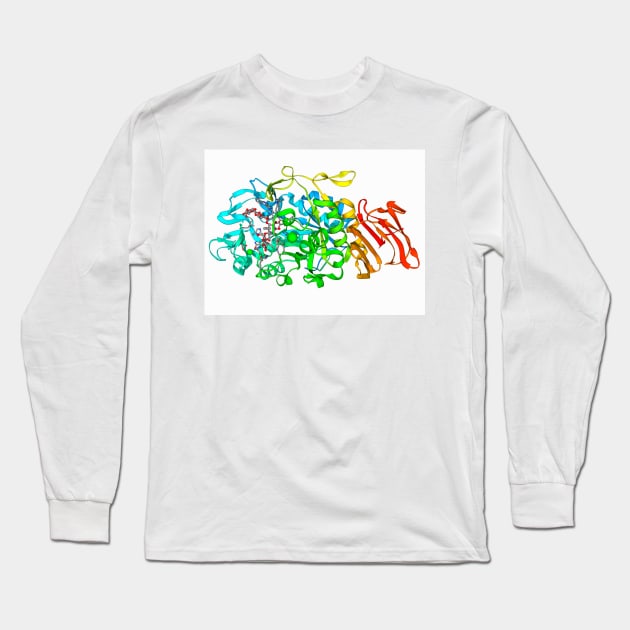 Amylase, molecular model (F006/9461) Long Sleeve T-Shirt by SciencePhoto